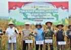 Dukung Ketahanan Pangan, Polda Sulteng Panen 1.601 Ton Jagung Kuartal III Tahun 2025